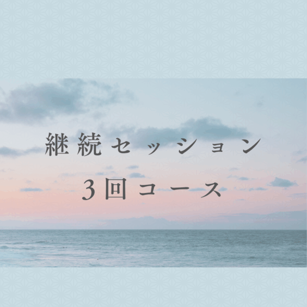 継続セッション3回コース